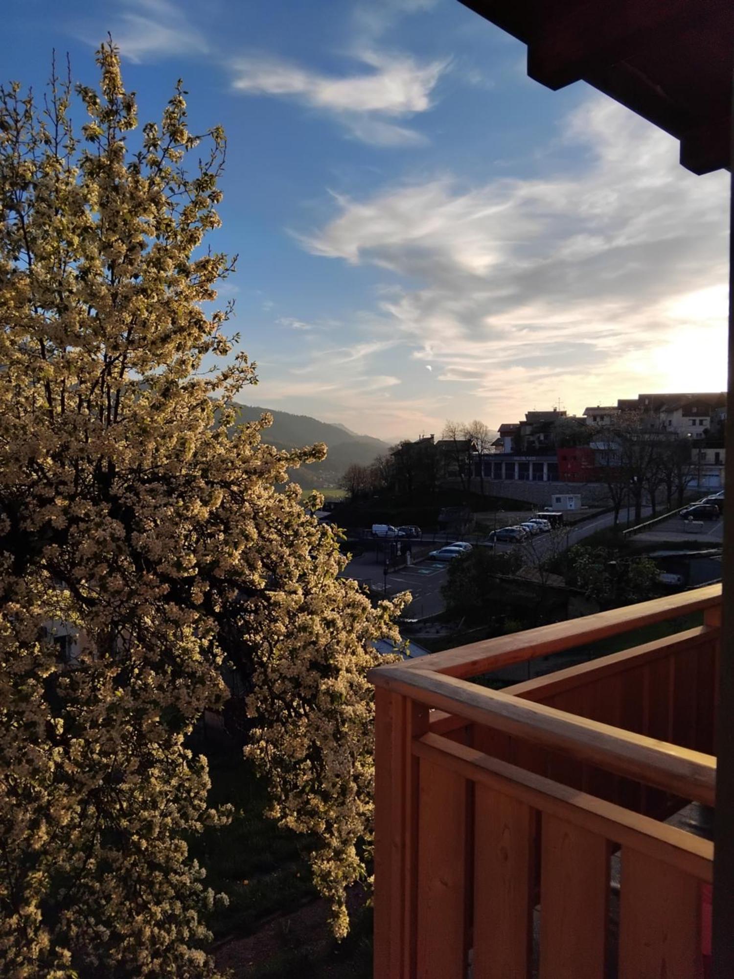 Casa Micei Daire Tesero Dış mekan fotoğraf